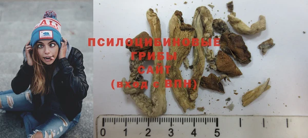 хмурый Корсаков