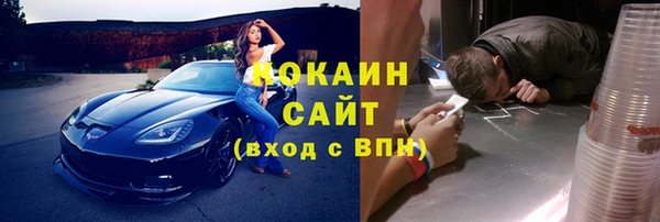 хмурый Корсаков