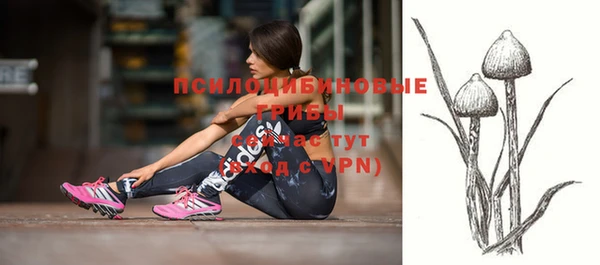 spice Снежногорск