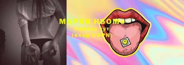 хмурый Корсаков