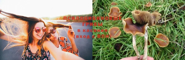 эйфоретик Костерёво