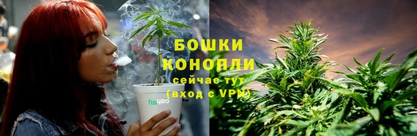 хмурый Корсаков