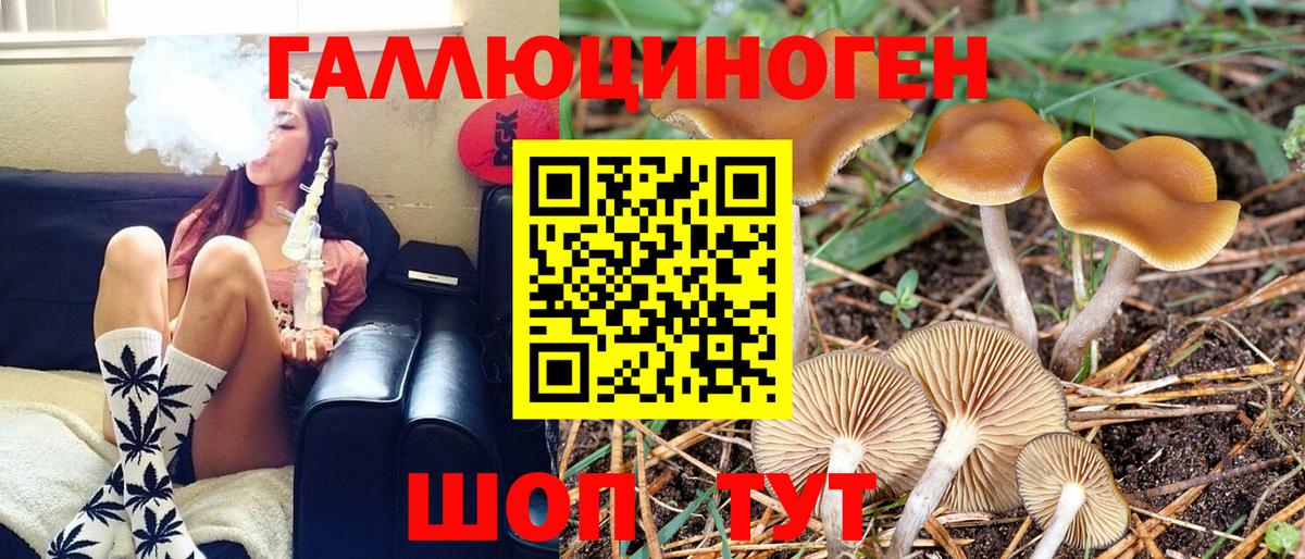 Камышин  Галлюциногенные грибы мухоморы  Галлюциногенные грибы мухоморы  наркошоп  Вход с VPN 