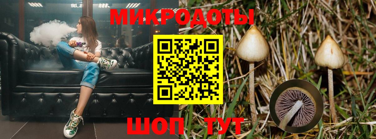Псилоцибиновые грибы ЛСД Камышин