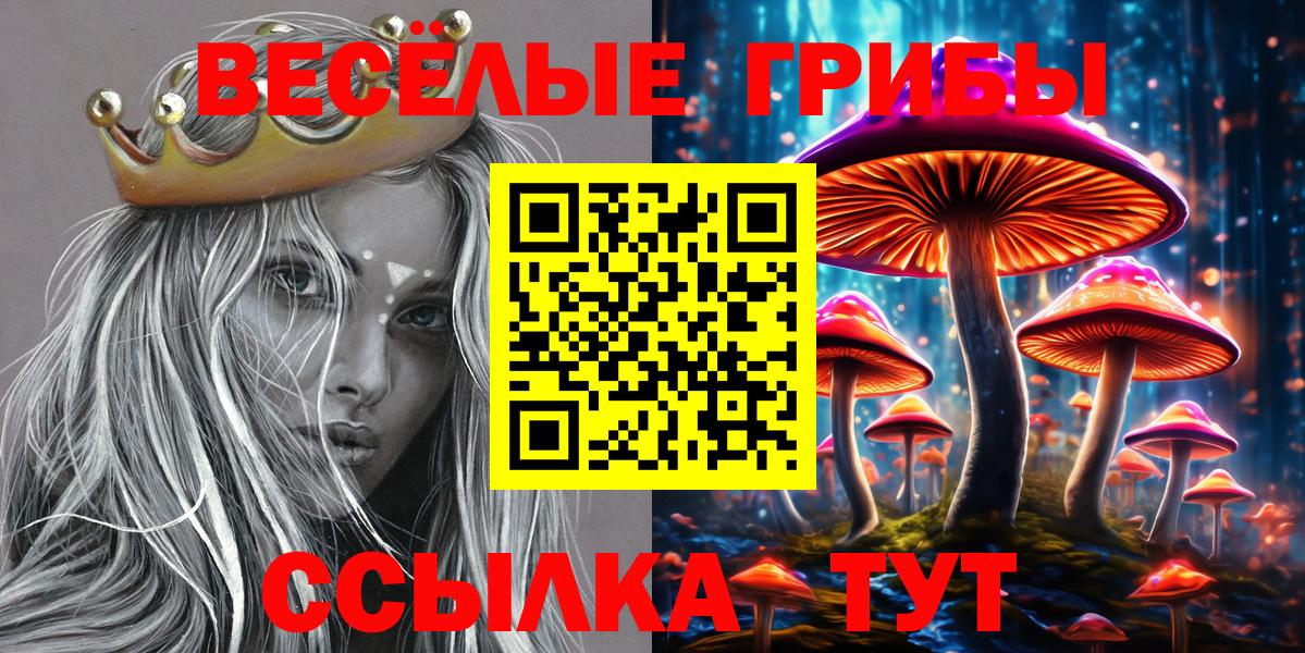 Псилоцибиновые грибы Psilocybe  Камышин 