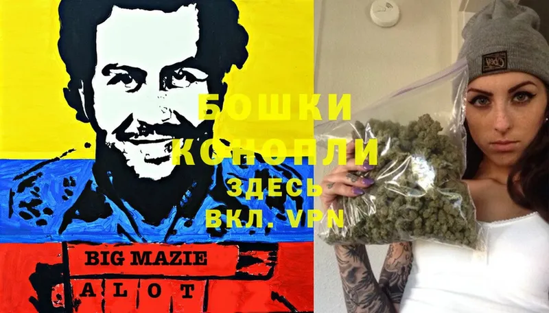 как найти наркотики  Камышин  МАРИХУАНА White Widow 